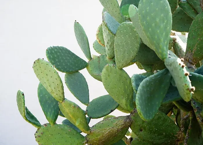 Creste E Mare 3* Ajaccio (Corsica)