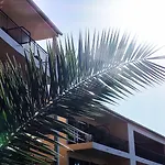 Creste E Mare Ajaccio (Corsica)