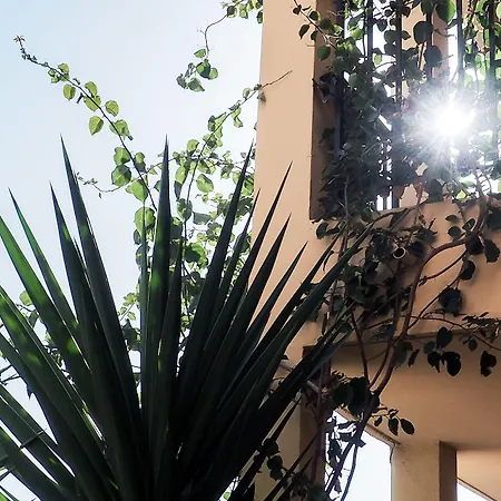 Creste E Mare 3* 아작시오