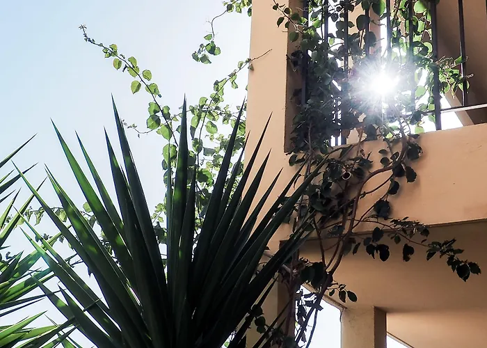 Creste E Mare 3* 아작시오